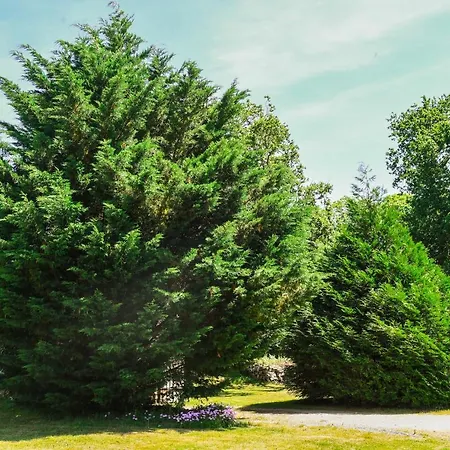 The Cider House: Charming 2 Bedroom Hébergement de vacances Mellac